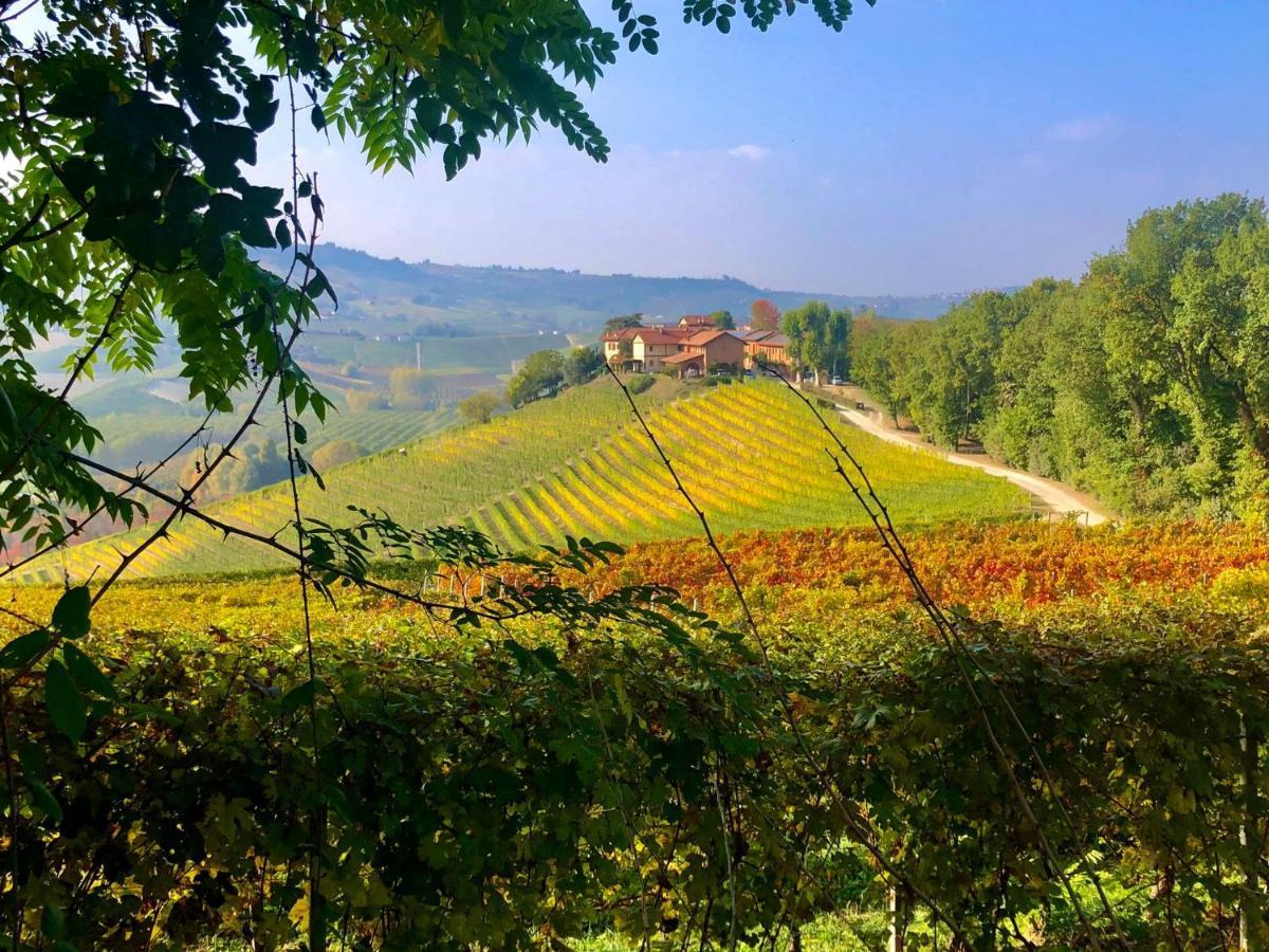 Tenuta Montanello B&B Кастильоне Фалето Екстериор снимка