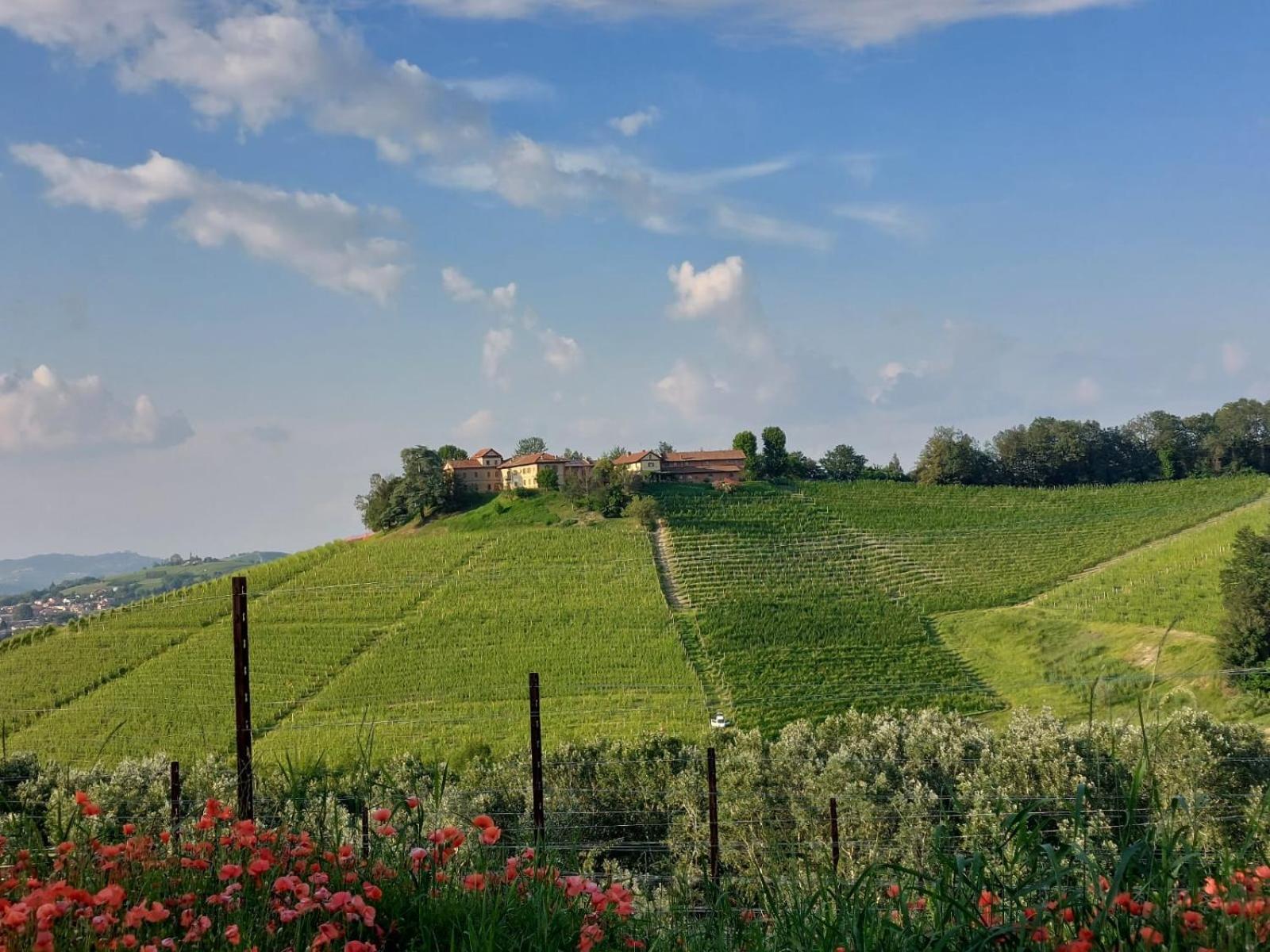 Tenuta Montanello B&B Кастильоне Фалето Екстериор снимка