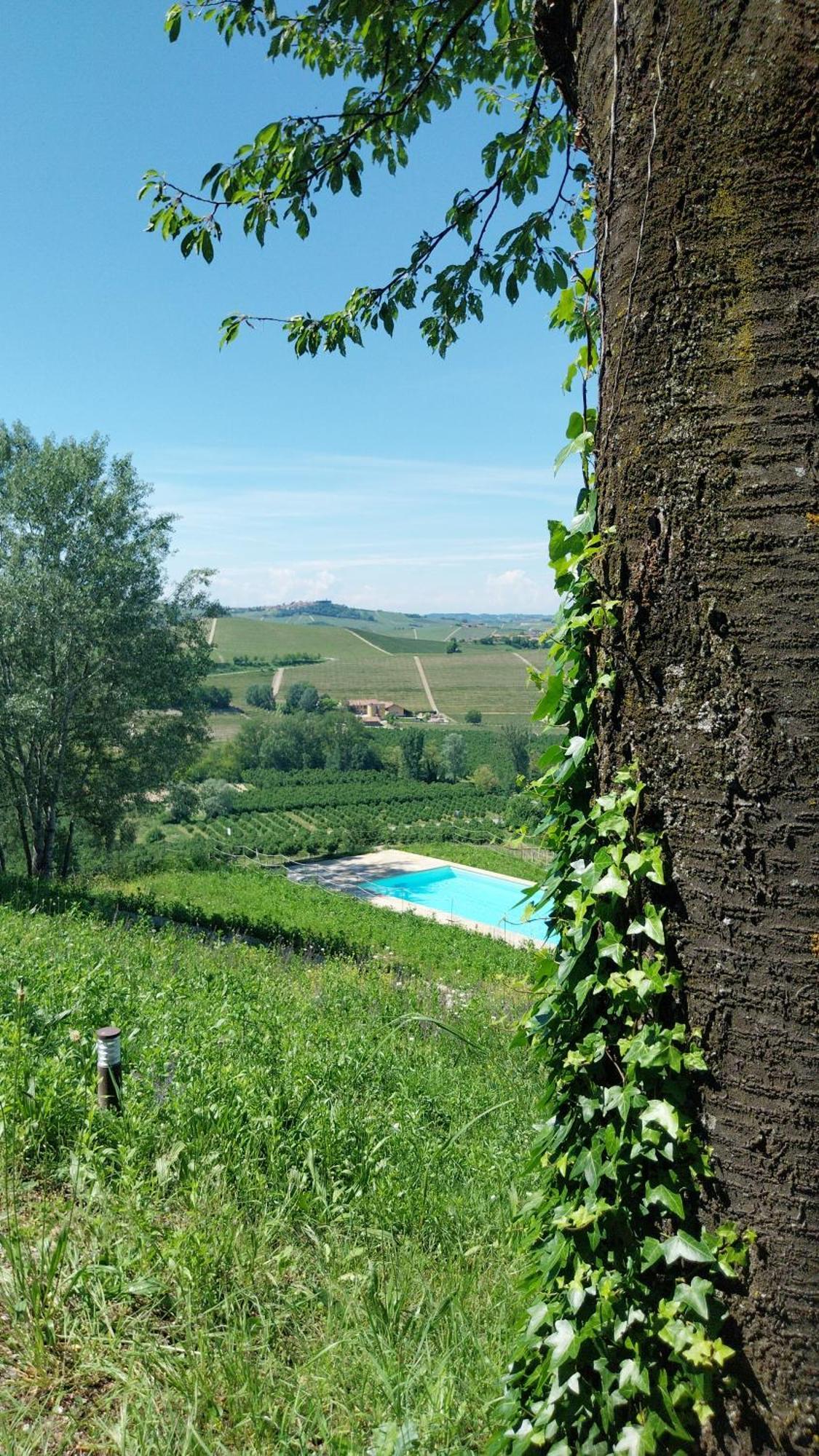 Tenuta Montanello B&B Кастильоне Фалето Екстериор снимка