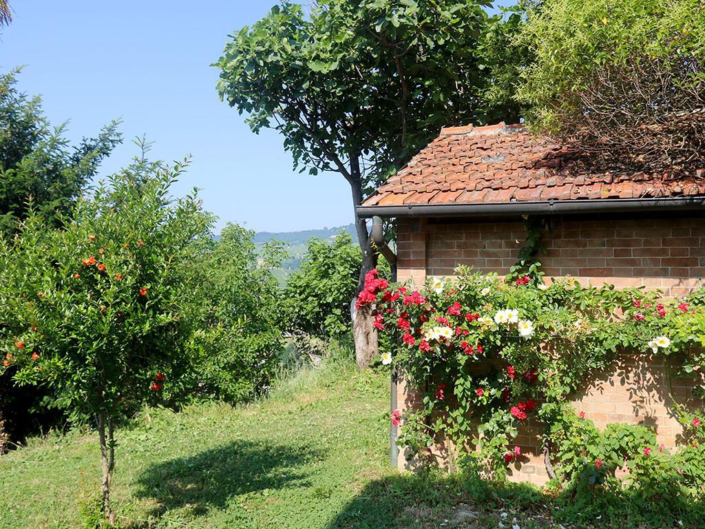 Tenuta Montanello B&B Кастильоне Фалето Екстериор снимка