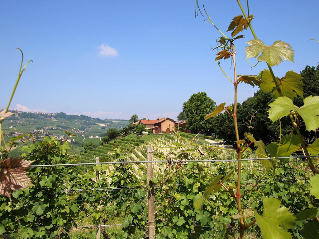 Tenuta Montanello B&B Кастильоне Фалето Екстериор снимка